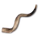 Shofars